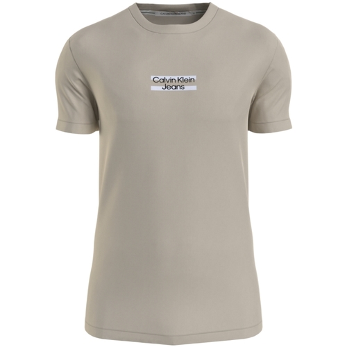 Vêtements Homme T-shirts & Polos Calvin Klein JEANS Linen T shirt homme  Ref 59077 ACI Beige Beige