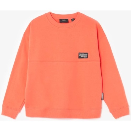 Vêtements Garçon Sweats T-shirt Frankiegi Rose Clairises Sweat hibibo corail Orange