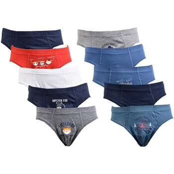 Sous-vêtements Garçon Slips Twinday Pack de 10 0581 LITTLE FOX Multicolore