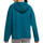 Vêtements Femme Sweats Nike DM7033-404 Bleu
