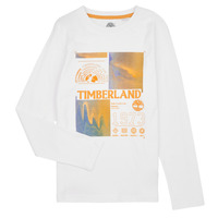 Vêtements Garçon T-shirts manches longues Timberland T25U29-10P-C Blanc