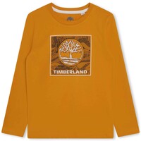 Vêtements Garçon T-shirts manches courtes Timberland T25U36-575-C Jaune