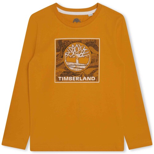 Vêtements Garçon T-shirts manches courtes Handsewn Timberland T25U36-575-C Jaune