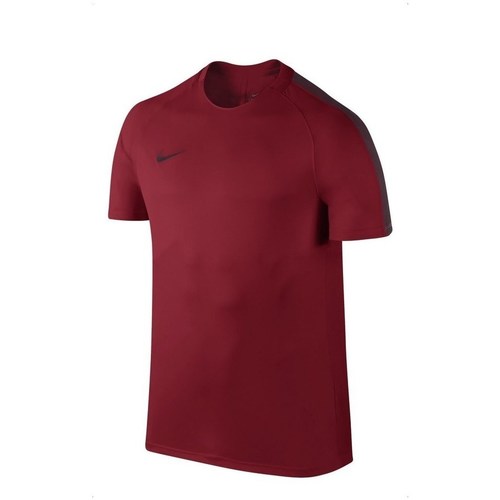 Vêtements Homme T-shirts manches courtes Nike Dry Squad Bordeaux