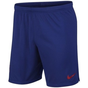 Vêtements Homme Pantacourts Nike Nike NBA Diadema Bleu