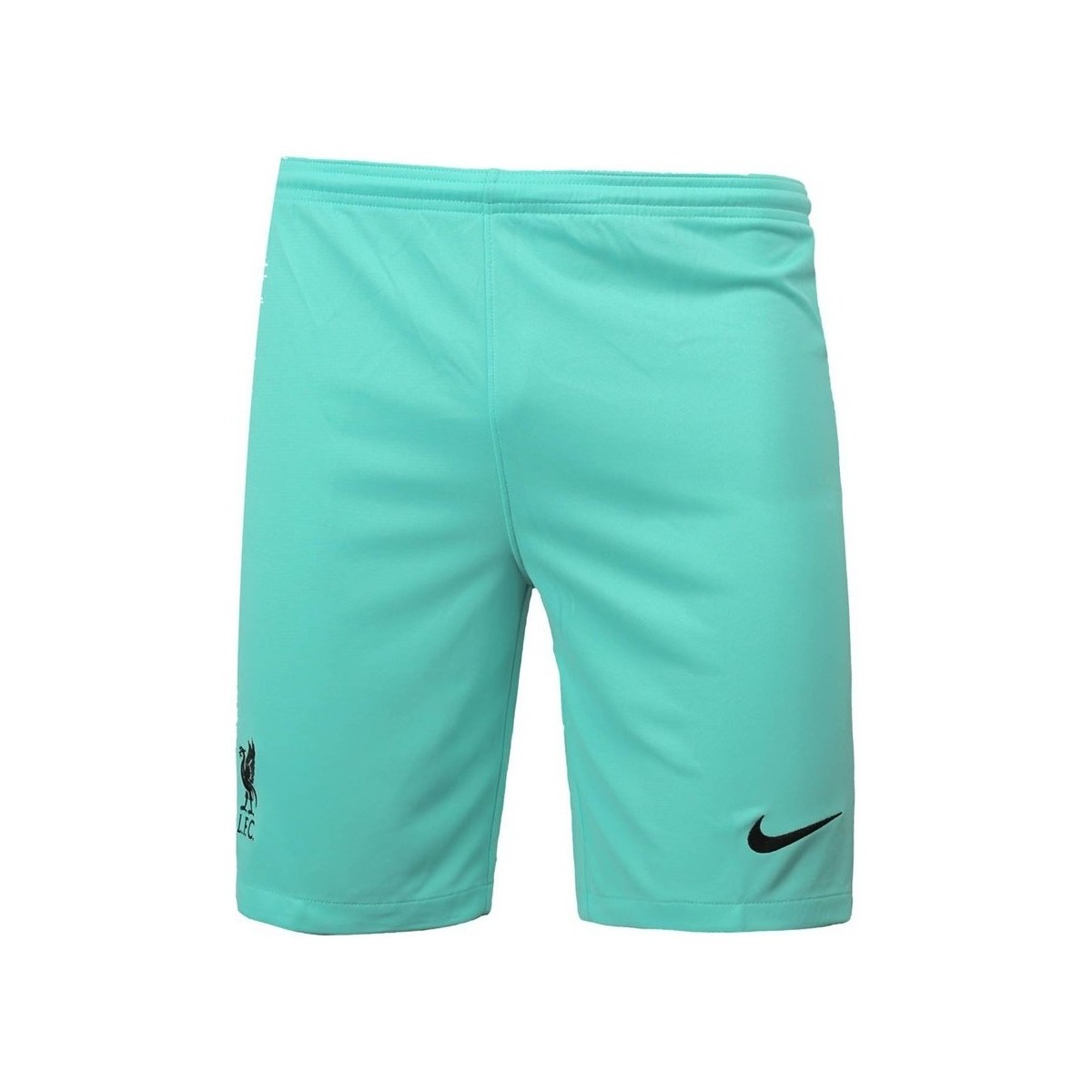 Vêtements Homme Pantacourts Nike Liverpool FC 2021 Breathe Away Stadium Turquoise