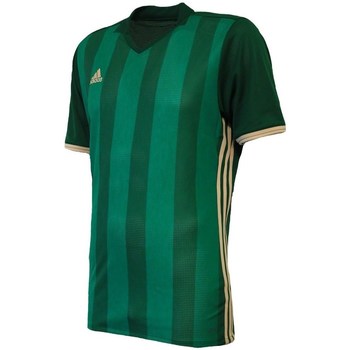 Vêtements Homme T-shirts manches courtes brazil adidas Originals Condivo 16 Vert