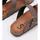 Chaussures Homme Sandales et Nu-pieds Senses & Shoes SEASCAPE Marron