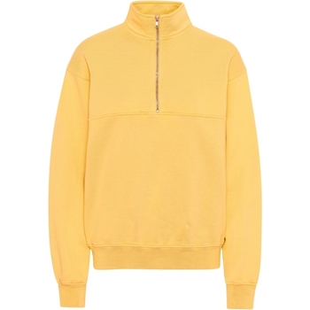 Vêtements Sweats Colorful Standard Sweatshirt 1/4 zip  Organic lemon yellow lemon yellow