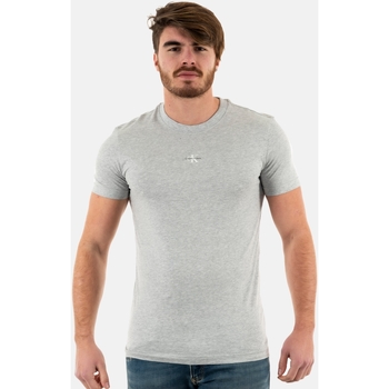 Vêtements Homme T-shirts manches courtes Calvin Klein Jeans j30j322466 gris