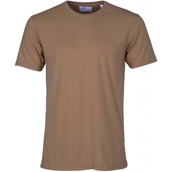 Vêtements T-shirts manches courtes Colorful Standard T-shirt  Classic Organic sahara camel sahara camel
