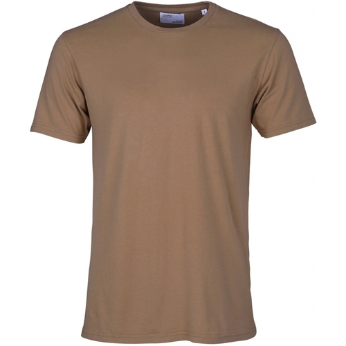 Vêtements T-shirts manches courtes Colorful Standard T-shirt  Classic Organic sahara camel Marron
