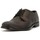 Chaussures Homme Derbies & Richelieu Studio Mode  Marron