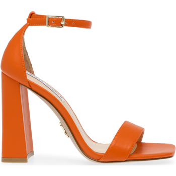 Chaussures Femme Escarpins Steve Madden Talons femme  Airy Orange