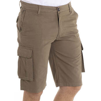 Vêtements Homme Shorts / Bermudas Gentleman Farmer SALVA Vert