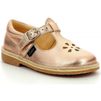 Chaussures Fille Ballerines / babies Aster Dingo-2 Rose