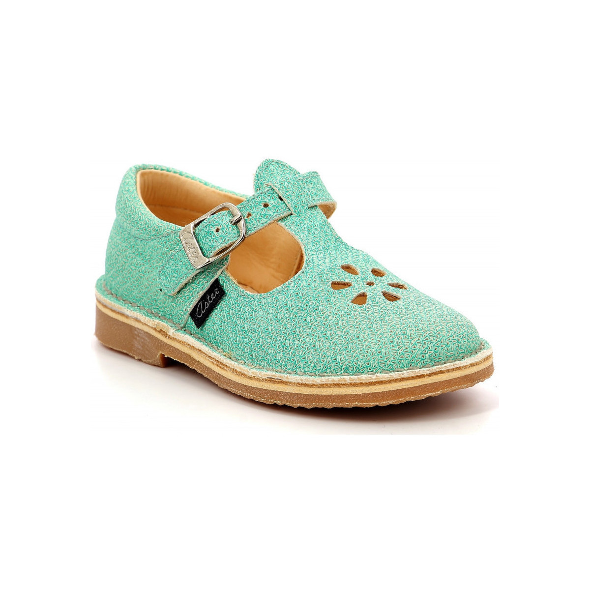 Chaussures Fille Ballerines / babies Aster Dingo-2 Vert