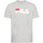 Vêtements Homme T-shirts & Polos Fila FAU0092 Gris