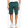 Vêtements Homme Shorts / Bermudas DC Shoes DC HEGGERTY SHORT JUNE BUG SEDYFB03047 Vert