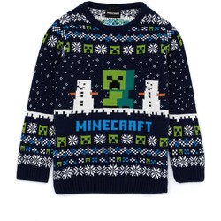Vêtements Enfant Pulls Minecraft NS6893 Bleu