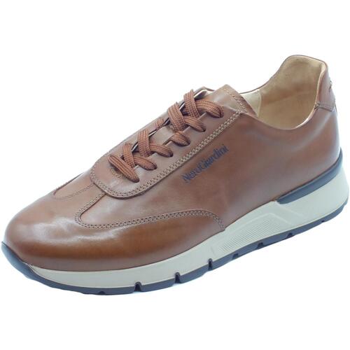 Chaussures Homme Derbies & Richelieu NeroGiardini E302822U Kenia Marron