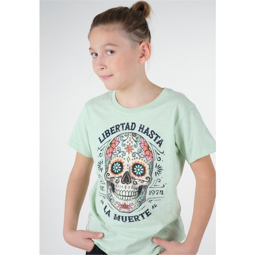 Vêtements Garçon Veste Junior Wind - 10 Ans Deeluxe T-Shirt CRANEO Vert