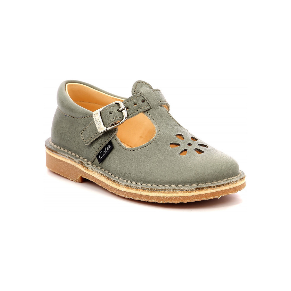 Chaussures Enfant Ballerines / babies Aster Dingo-2 Vert