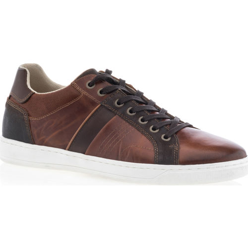Chaussures Homme Baskets basses Staten Street Baskets / nica sneakers Homme Marron Marron