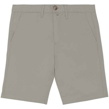 Vêtements Homme Shorts / Bermudas Native Spirit PC5110 Vert