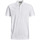 Vêtements Homme Polos manches courtes Premium By Jack & Jones 145125VTPE23 Blanc