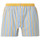 Sous-vêtements Homme Caleçons Achile Lot de 2 caleçons slippés en pur coton peigné ROOTS Multicolore