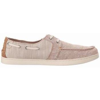 chaussures bateau toms  chaussure homme 