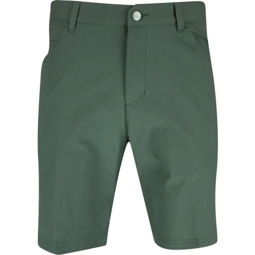 Vêtements Homme Shorts / Bermudas adidas Originals Adix 5Pkt Short Vert