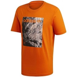 Vêtements Homme T-shirts & Polos sticks adidas Originals Adv Tee Orange
