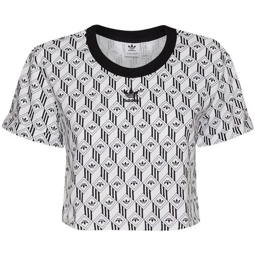 Vêtements Femme T-shirts & Polos adidas Originals Cropped T-Shirt Noir