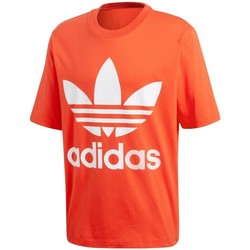 Vêtements Homme T-shirts & Polos sticks adidas Originals Oversized Tee Orange