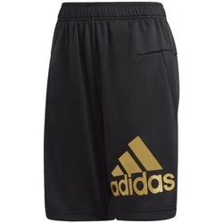 Vêtements Garçon Shorts / Bermudas adidas Originals Gold Shorts Noir