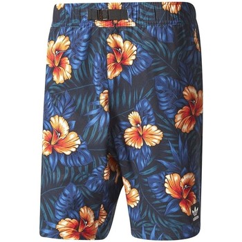 Vêtements Homme Shorts / Bermudas adidas Originals Sweetleaf Multicolore