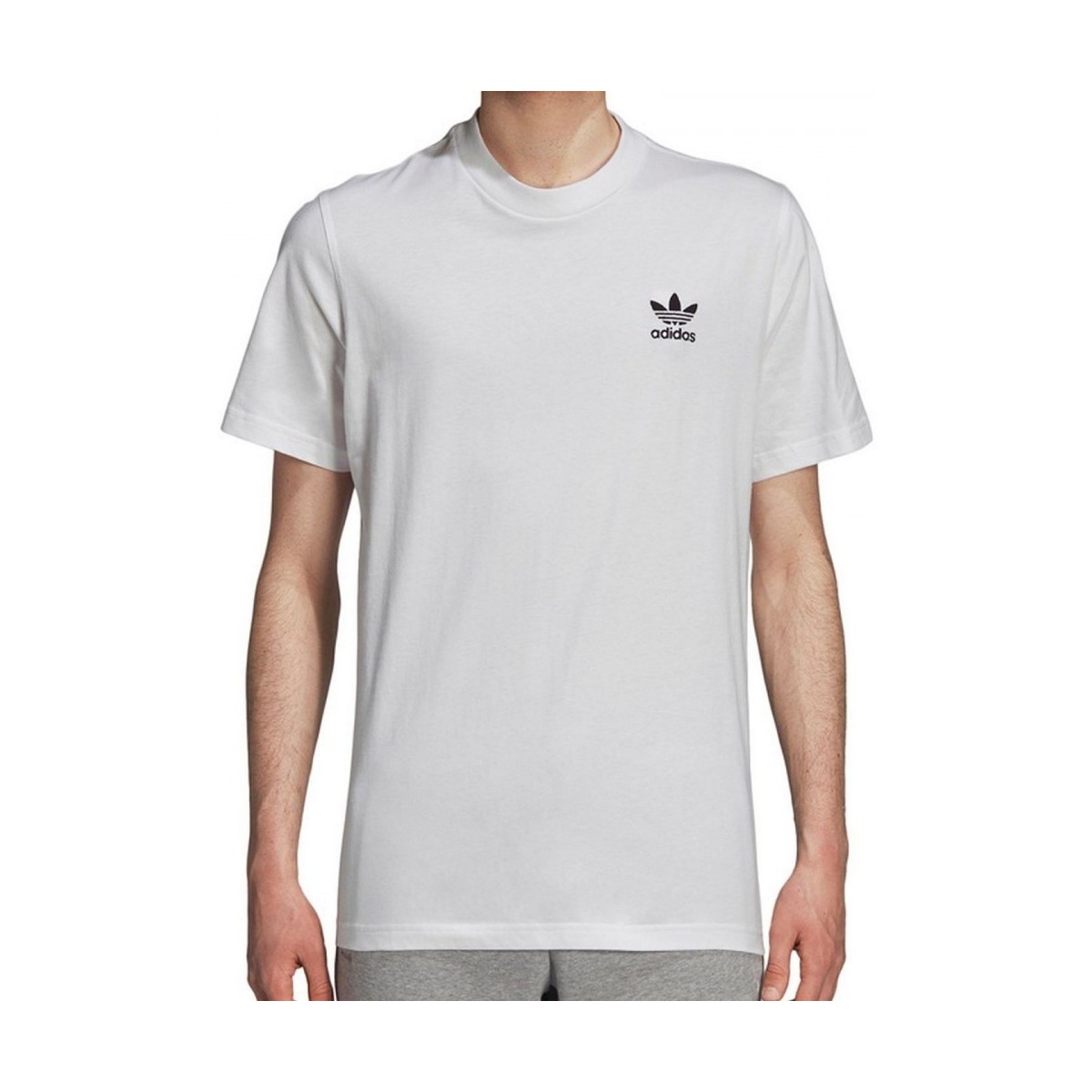 Vêtements Homme T-shirts & Polos adidas Originals Catalog Ss Blanc