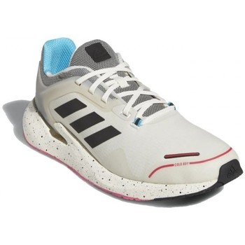 Chaussures Homme Running / trail adidas Originals Alphatorsion C.Rdy M Blanc