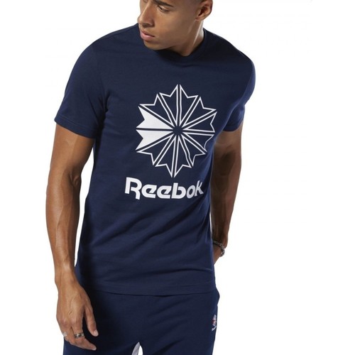 Vêtements Homme T-shirts & Polos Reebok verdrag Sport Cl Big Logo Tee Bleu