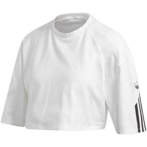 Vêtements Femme T-shirts & Polos adidas Originals T Shirt Crop Blanc