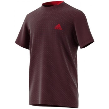 Vêtements Homme T-shirts & Polos adidas Originals Advantage Tee Rouge