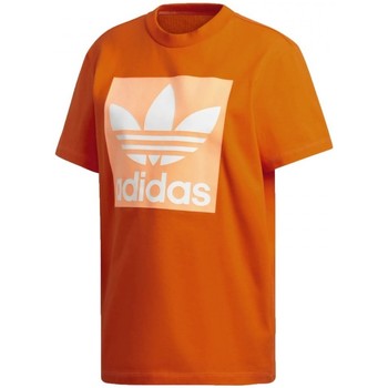 Vêtements Femme T-shirts & Polos gazelle adidas Originals Bf Tee Orange