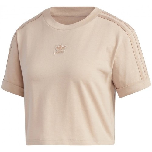 Vêtements Femme T-shirts & Polos adidas Originals Cropped T-Shirt Beige