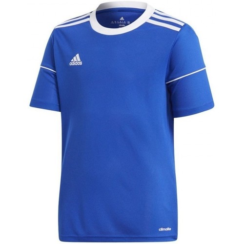 Vêtements Garçon T-shirts manches courtes adidas Originals Squad 17 Jsy Y Bleu