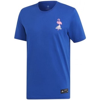 Vêtements Garçon adidas traxion soccer amazon prime adidas Originals Paradise T-Shirts Bleu