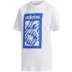 Vêtements Garçon T-shirts manches courtes adidas Originals Yb Box Tee Blanc