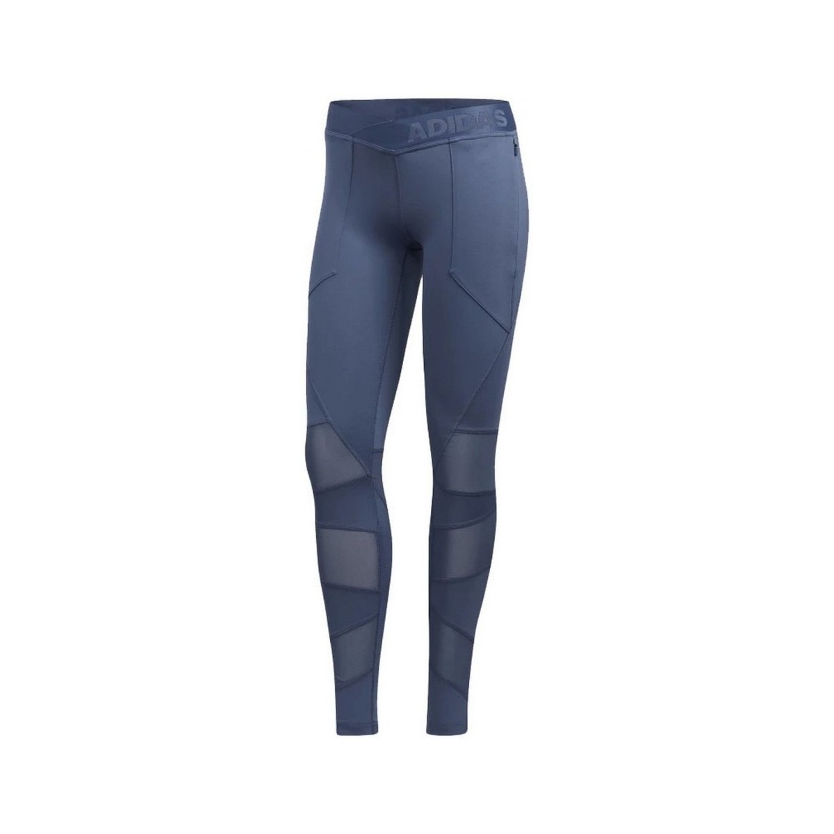 Vêtements Femme Pantalons de survêtement adidas Originals Alphaskin Long Utility Tights Bleu