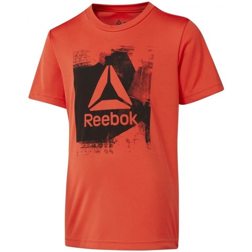 Vêtements Garçon T-shirts manches courtes Reebok Sport Workout Ready Tee Rouge